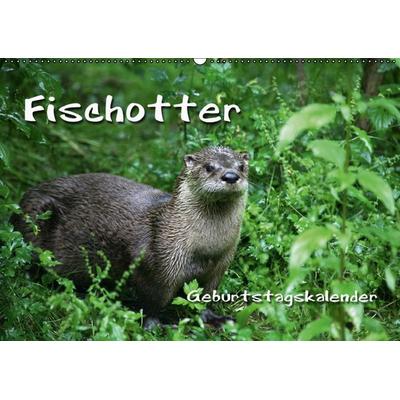 Fischotter Geburtstagskalender (Wandkalender immerwährend DIN A2 quer)