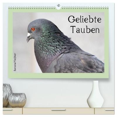 Geliebte Tauben (hochwertiger Premium Wandkalender 2027 DIN A2 quer), Kunstdruck in Hochglanz