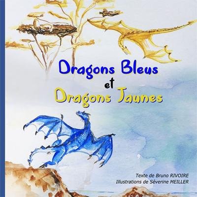Dragons Bleus et Dragons Jaunes - Bruno Rivoire,Severine Meiller, Audio, 9782956442226