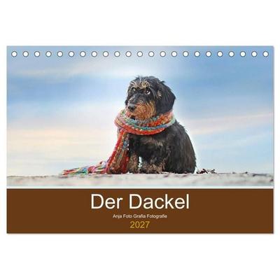 Der Dackel (Tischkalender 2027 DIN A5 quer), CALVENDO Monatskalender