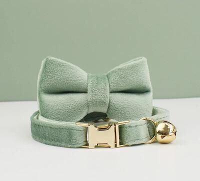 Inspired Finds VelvetCharm Personalized Cat Collar With Bow And Bell frost Mint Set l