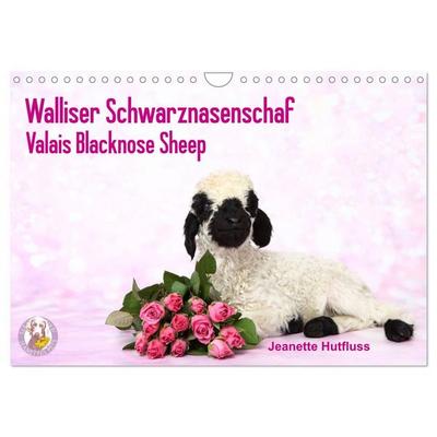 Walliser Schwarznasenschaf Valais Blacknose Sheep (Wandkalender 2027 DIN A4 quer), CALVENDO Monatskalender