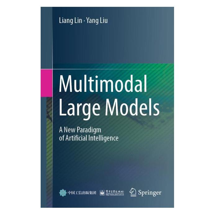 Springer Multimodal Large Models (65429179)