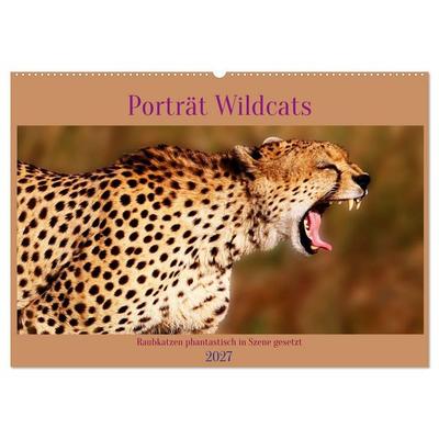 Porträt Wildcats (Wandkalender 2027 DIN A2 quer), CALVENDO Monatskalender