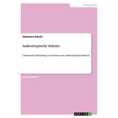 Außertropische Stürme, Taschenbuch von Johannes Schulz, GRIN, 978-3-640-13979-8