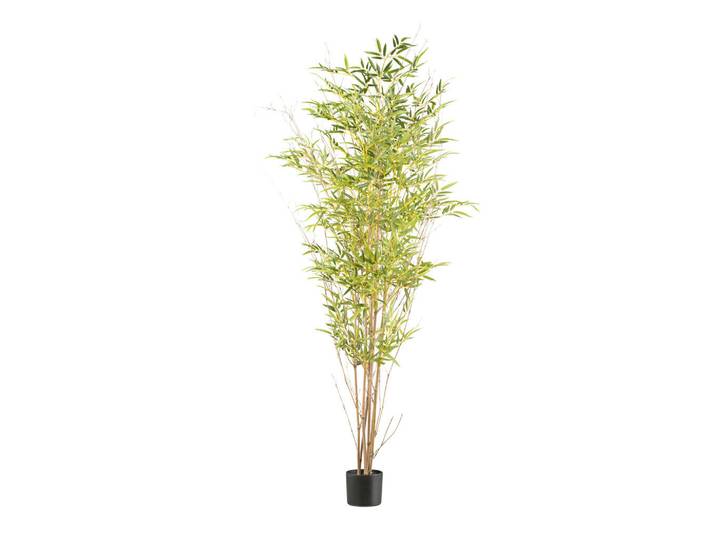 Kunstpflanze, Naturfarben, Schwarz, Grün, Naturmaterialien, 185 cm, inkl. Topf, mit Naturstamm, Dekoration, Blumen & Blumentöpfe, Kunstpflanzen