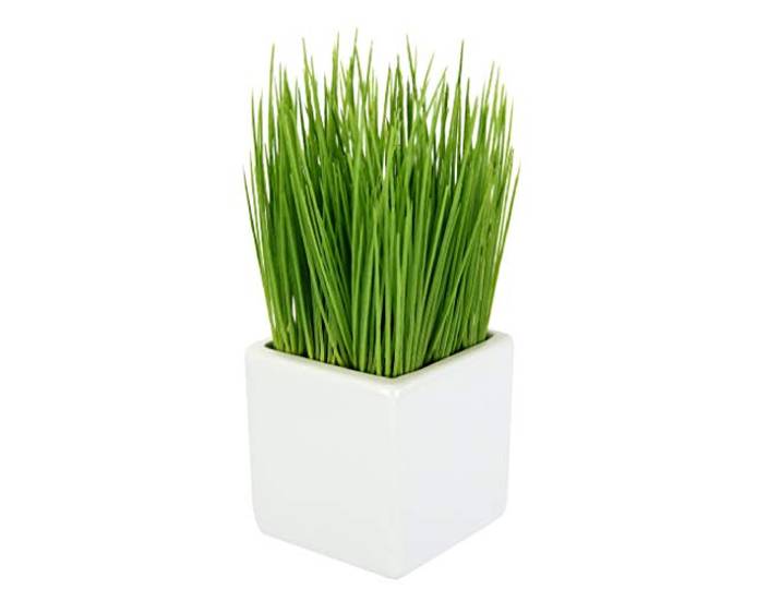 Künstliches Topf aus Keramik Kunst-Gras Grünpflanze Kunstpflanze Kunstgras Dekogras Grasbusch Schnittlauch Gartenkräuter Kräuter Ziergras, Kunststoff, grün, 9x9x22 cm