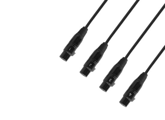 Adam Hall 4 Star CATBOX XF5 Adapter