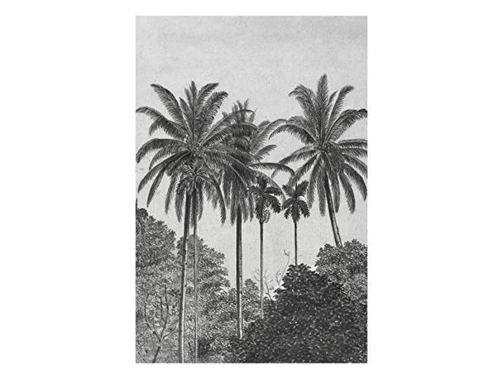 Papier Peint panoramique Palmiers Gravure 200 x 280cm Gris\, Noir