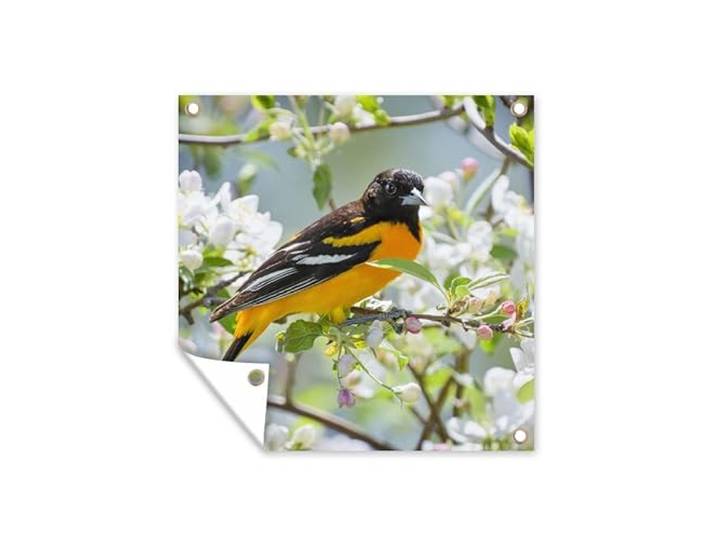 Tuinposter - 200x200 cm - Vogel - Bloemen - Kleuren