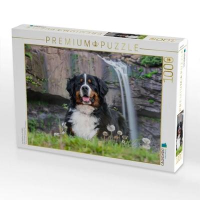 CALVENDO Puzzle Ein Plätzchen im Schatten | 1000 Teile Lege-Größe 64x48cm Foto-Puzzle für glückliche Stunden