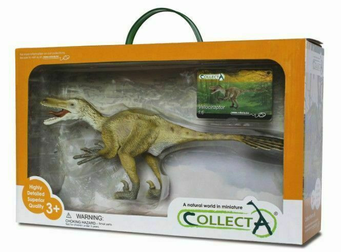 Collecta Geschenkset Achtergrondinformatie