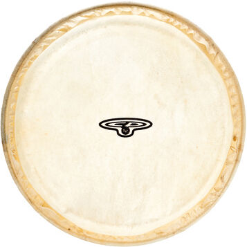 LP "CP221A Bongo Head 6""