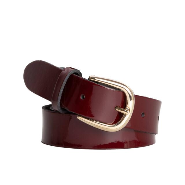 Trezz Riem 231 nos