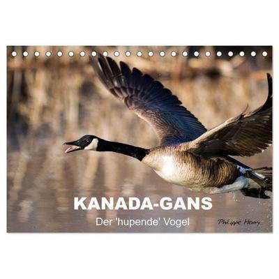 KANADA-GANS - Der 'hupende' Vogel (Tischkalender 2026 DIN A5 quer), CALVENDO Monatskalender