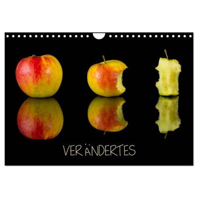 Verändertes (Wandkalender 2027 DIN A4 quer), CALVENDO Monatskalender