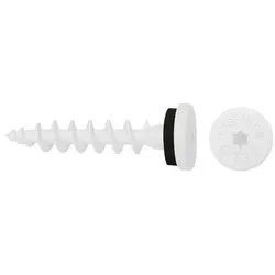 Isolierplattenschraube IPS-H 55 SIgnalweiß, 50er Box
