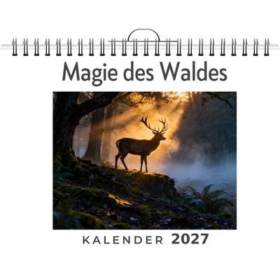 Magie des Waldes, von Aaron Koch, Elian, 978-3-696-42693-4
