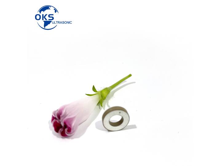 Anneaux piézoélectriques en céramique pour transducteurs médicaux, 10x5x2mm, 30 pièces/lot