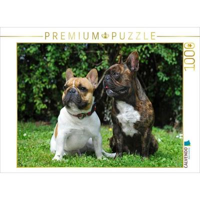 CALVENDO Puzzle Französische Bulldoggen | 1000 Teile Lege-Größe 64x48cm Foto-Puzzle für glückliche Stunden
