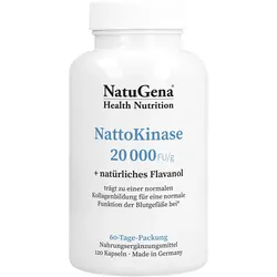 Nattokinase 20.000 + Vitamin C Vegan 120 ST