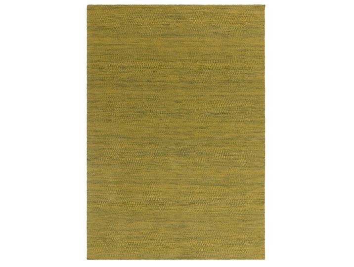 Tapis de salon et chambre en laine ferric vert 200x300 cm