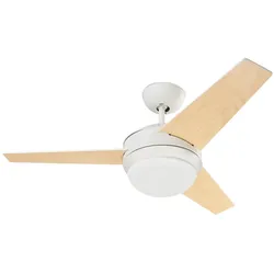 SCHMITZ-WILA Ventilator m.Leuchte VE-0005-BLA