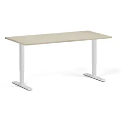 Höhenverstellbarer Schreibtisch, 1 Motor, 74-123 cm, Tischplatte 160x80 cm, weißes Metallgestell, Eiche natur