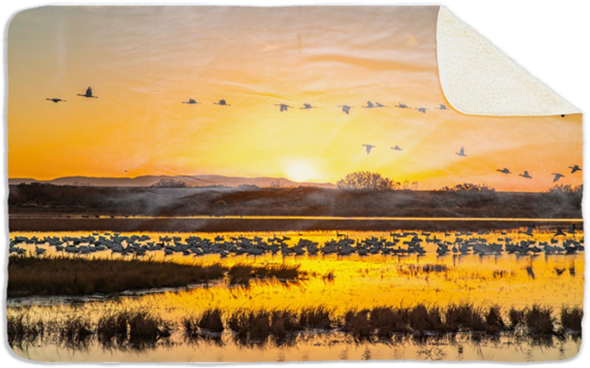 Sherpa fleecedeken met vogelprint, polyester, 96 x 146 cm