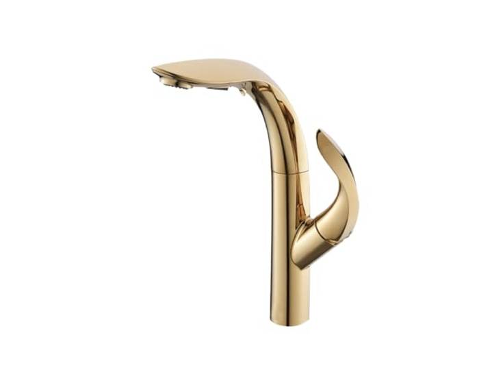 Luxus-Küchenarmatur aus Goldmessing mit ausziehbarem Design, 2-Funktions-Einhand-Kalt- und Warmwasserhahn doppelter Steuerung Kommerziell(Gold)