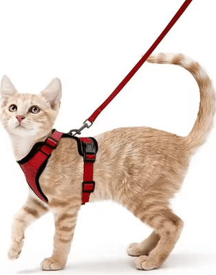 Inspire Curations ATUBAN EscapeGuard Reflective Cat Harness & Leash Set red s