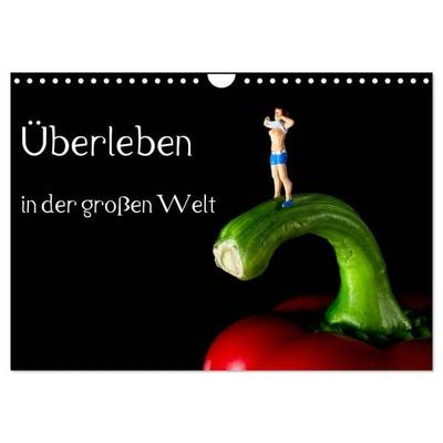 Überleben in der großen Welt - HO Figuren (Wandkalender 2026 DIN A4 quer), CALVENDO Monatskalender