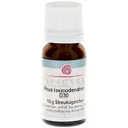 RHUS Toxicodendron D 30 Globuli 10 g