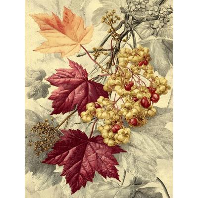 CALVENDO Puzzle Ahornblätter, warme Farbenspiele des Herbstes | 1000 Teile Lege-Größe 64x48cm Foto-Puzzle für glückliche Stunden, Sonstige von ,