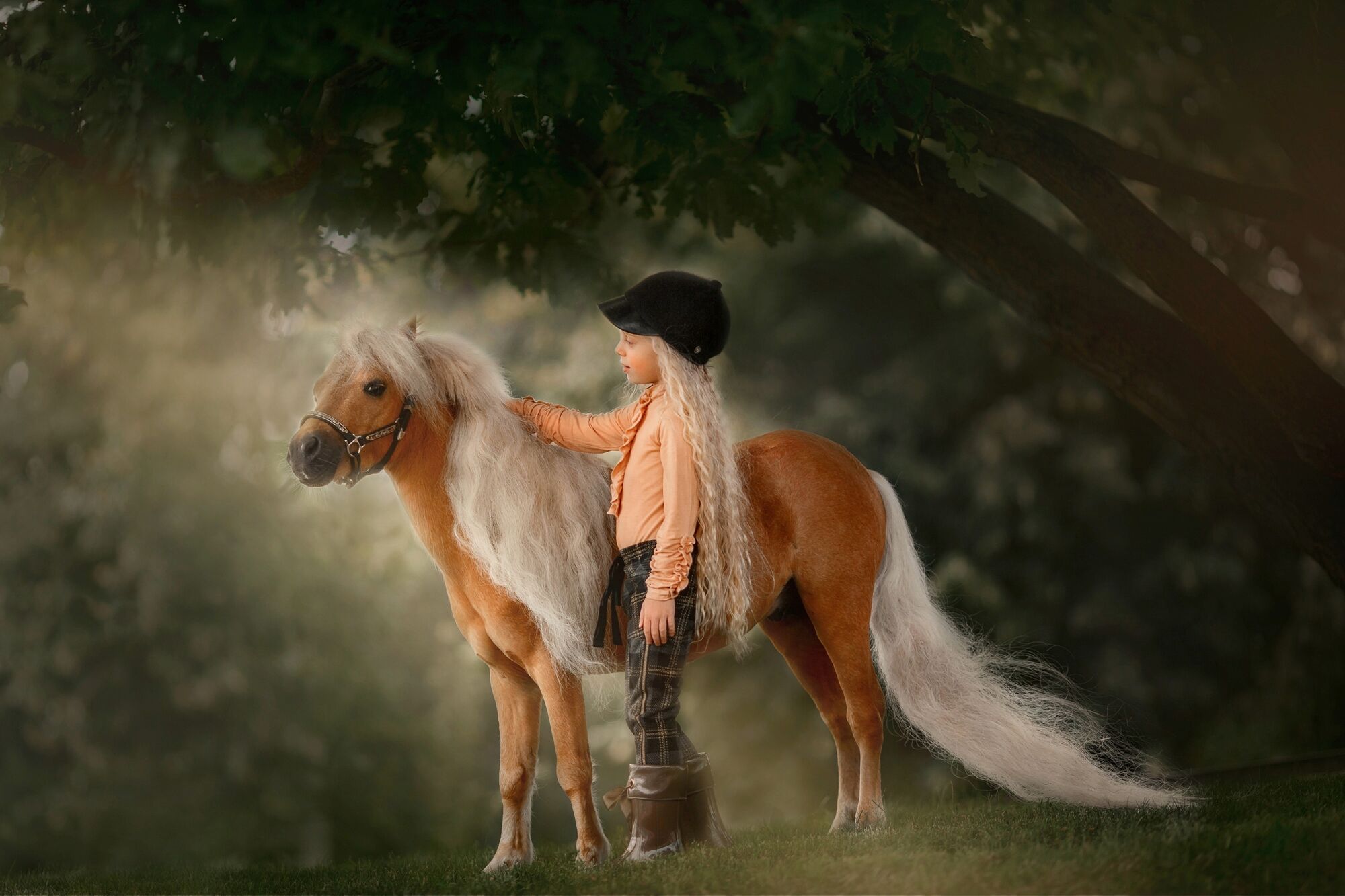 Fototapete PAPERMOON "PALOMINO MINIATURE PFERD-MÄDCHEN WINTER TIER PONY MINI", bunt, B:4m L:2,6m, Vlies, Tapeten, Fototapete bunt B/L: 4m x 2,6m, Bahnen: 8 Stk.