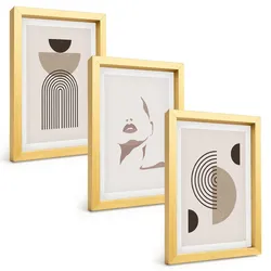 BILDER SET 3er Set - 20x30 cm Goldrahmen - Abstrakte Formen und Gesicht