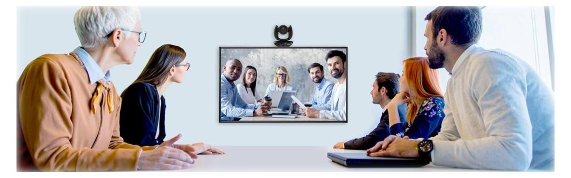 AVer Aver CAM550 PTZ Dubbele 4K Camera met 12x Optische Zoom en Intelligente Framing via USB, HDMI en IP
