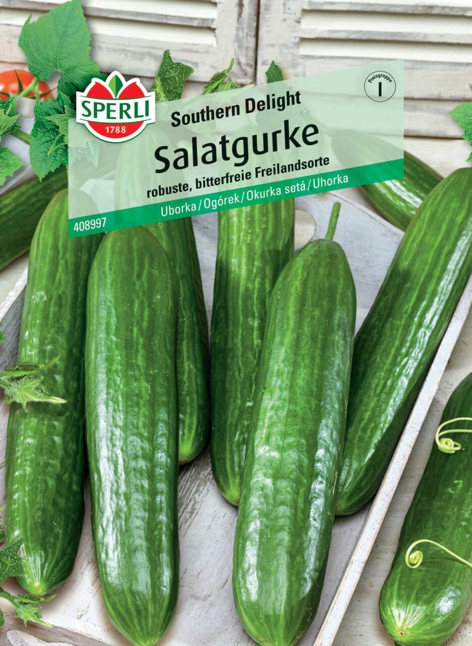 Sperli Salatgurke Southern Delight F1