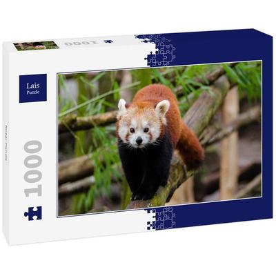 Lais Puzzle Roter Panda 1000 Teile