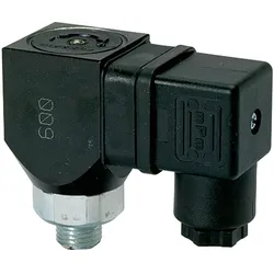 Riegler, Zubehör Druckluftwerkzeug, DS 6002 (103018) Druckschalter Wechselkontakt d