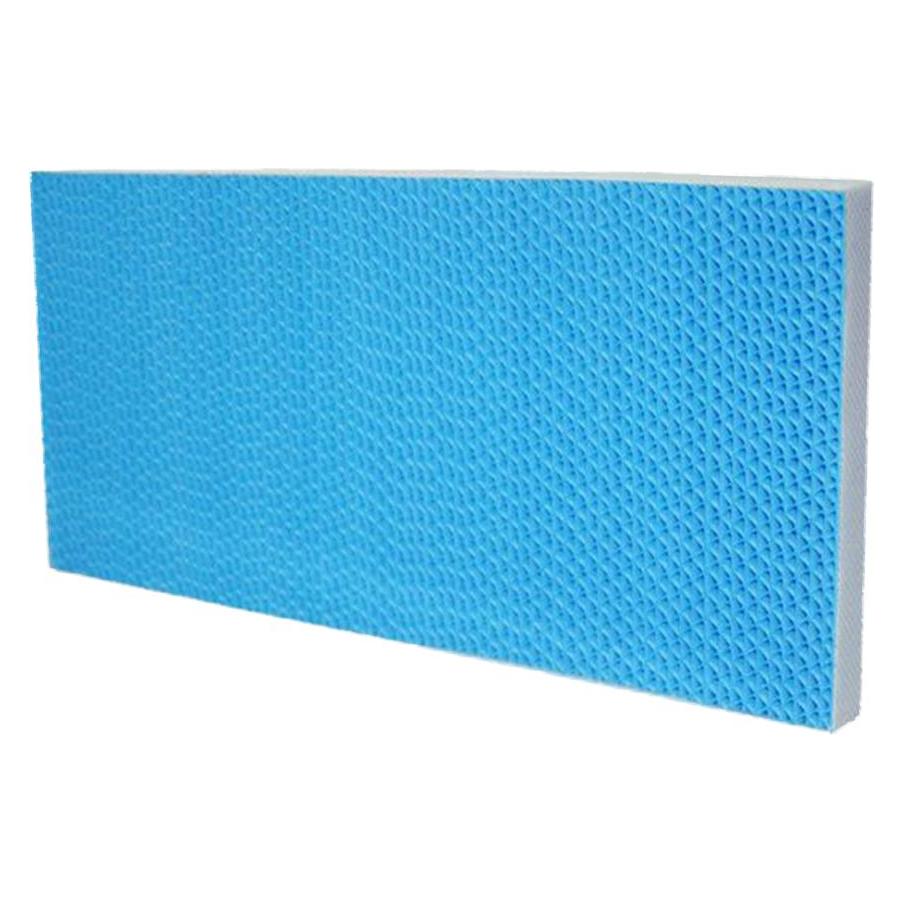 Webber Wasserfilter für den AP9700 Reiniger (1x) (37982756)