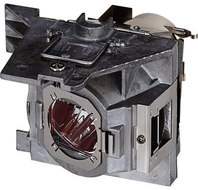 AL™ Series RLC-113 Lamp & Housing for Viewsonic Projectors - 90 Day Warranty