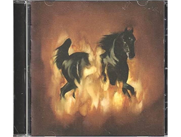 Besnard Lakes - Are The Dark Horse