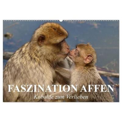 Faszination Affen. Kobolde zum Verlieben (Wandkalender 2027 DIN A2 quer), CALVENDO Monatskalender