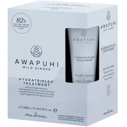 40ml Paul Mitchell Awapuhi Wild Ginger Hydratriplex Treatment