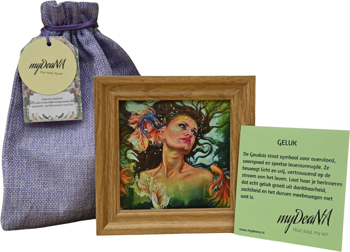 myDeaNA Mini artprint Goudvis in lijstje - Zakje Geluk