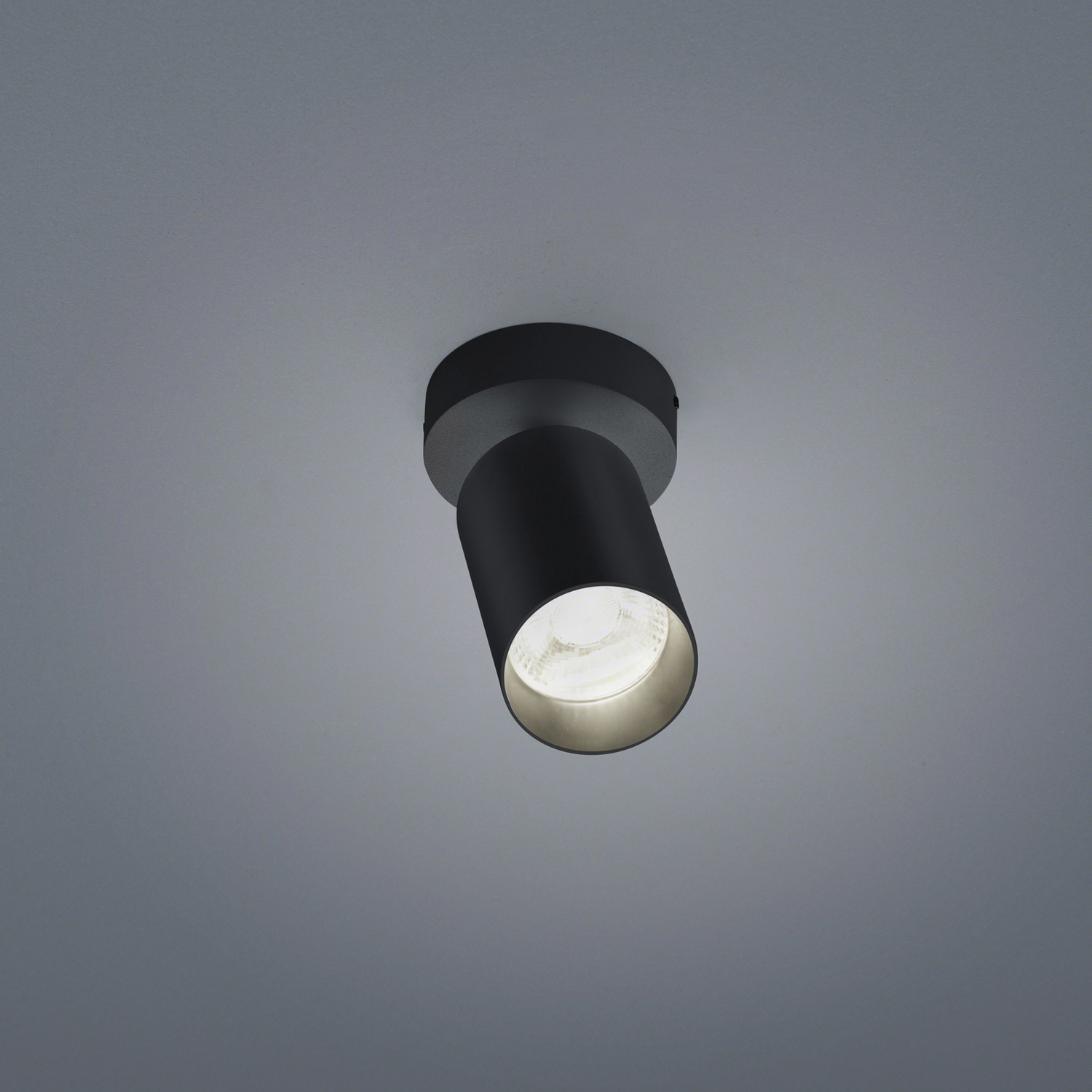 Helestra LED-Deckenstrahler RIWA Schwarz matt 15/1806.22 4022671117487