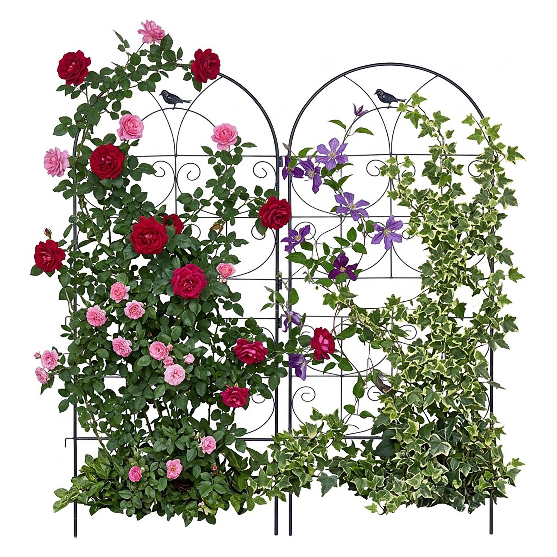 Relaxdays Rankgitter-Set (1 cm, 50 cm) (4052025830083)