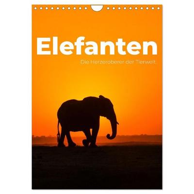 Elefanten - Die Herzeroberer der Tierwelt. (Wandkalender 2027 DIN A4 hoch), CALVENDO Monatskalender