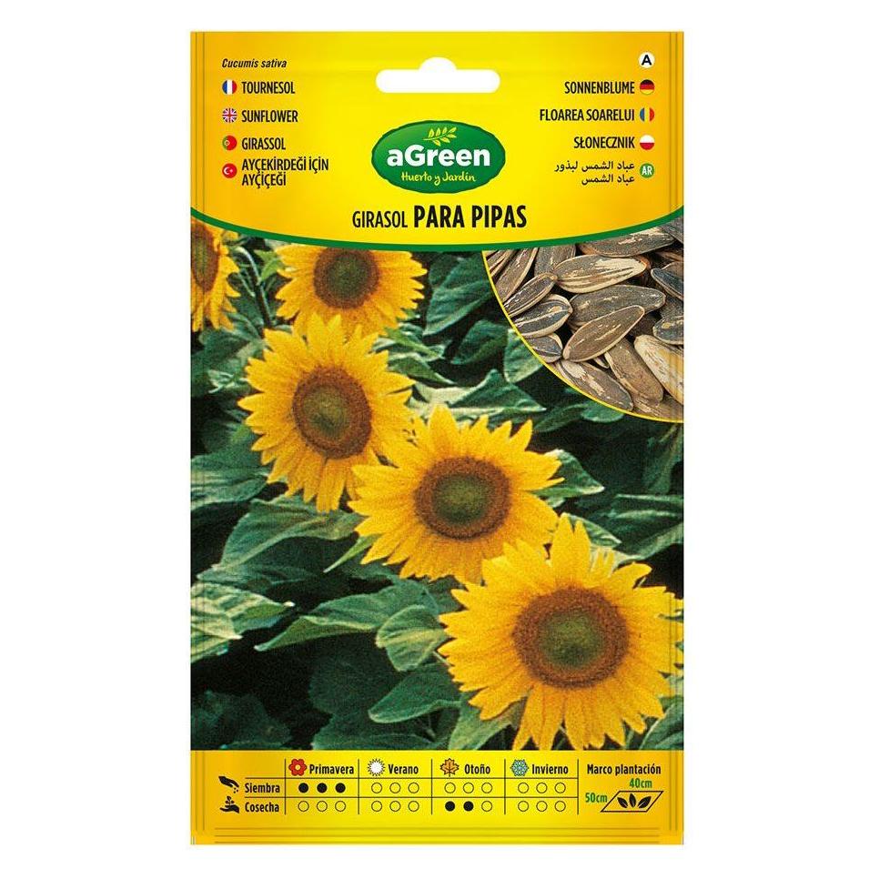 Agreen Sunflower seeds for pipes 301024bolsh (Gemüsesamen) (49411175)